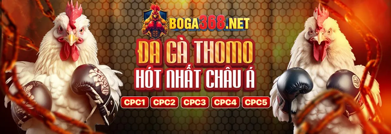 Mẹo và chiến thuật chơi cá cược hiệu quả tại gi8 app để tăng cơ hội thắng